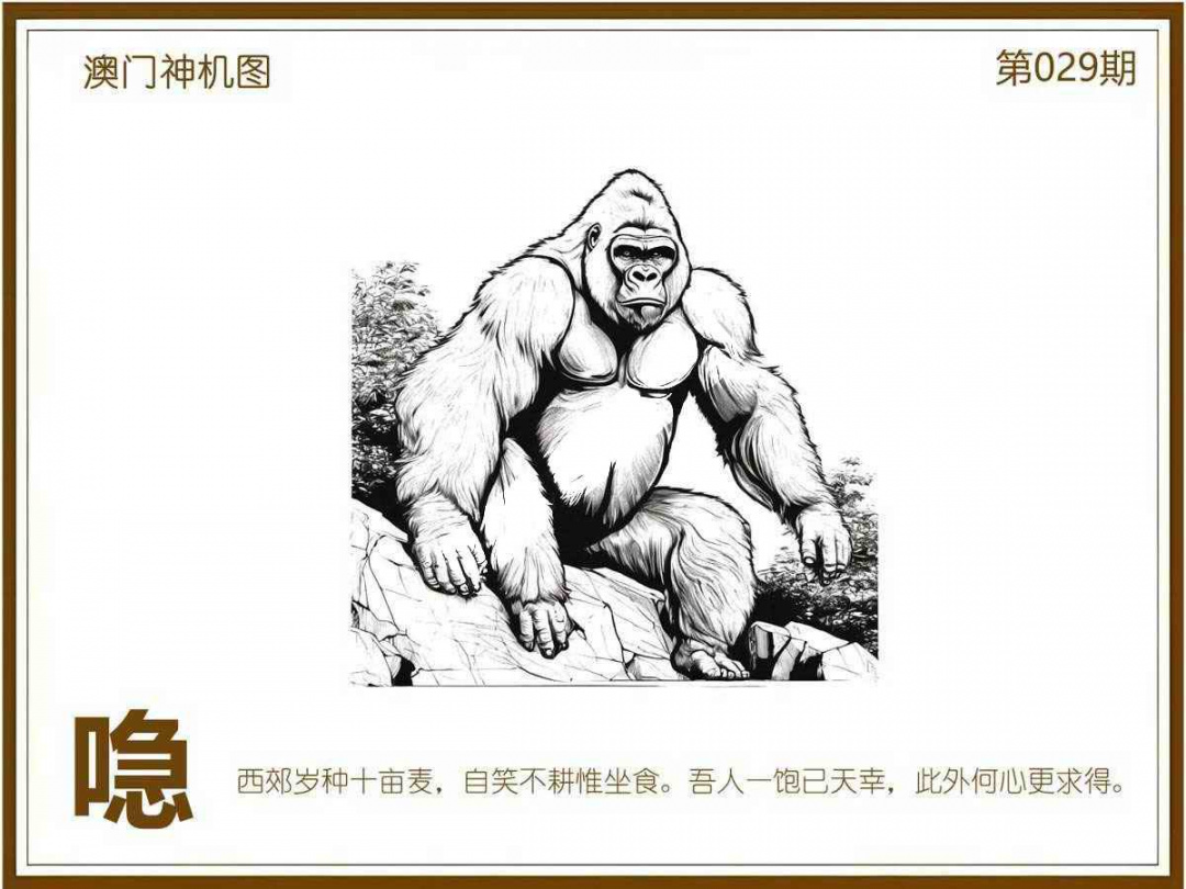 029期澳门神机图[图]